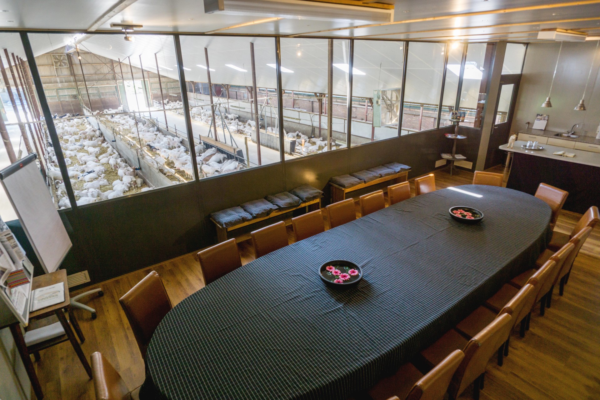De Skybox